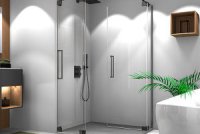 Palme Duschabtrennung Avito Dusche Duschkabine Bad Badezimmer Pro Zero Eckeinstieg Pendeltueren 300×300